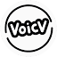 Voicv AI