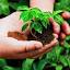 GreenThumb AI