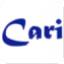 Caricaturer IO